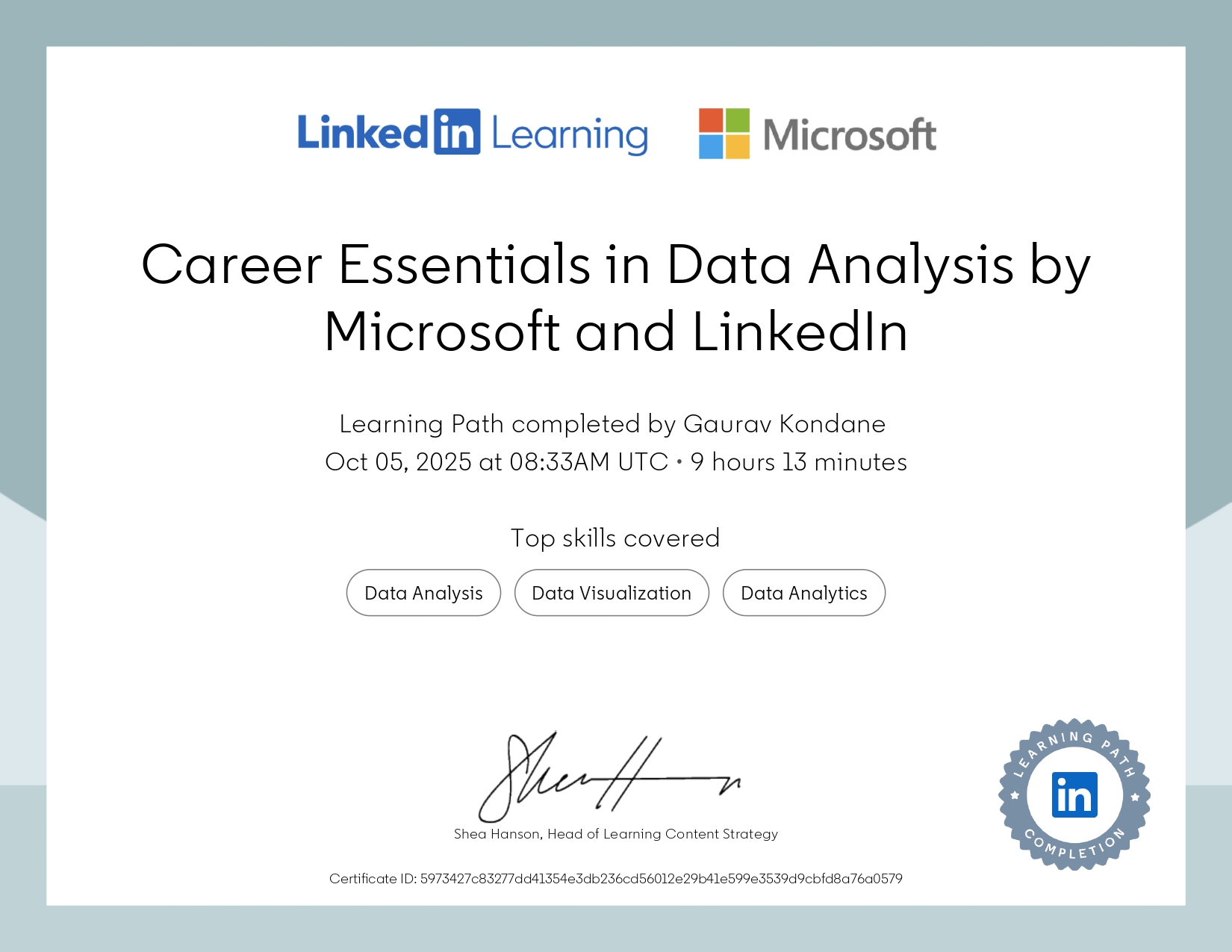 Career Essentials in Data Analysis